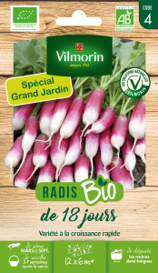 Radis de 18 Jours - BIO - Grand Modèle